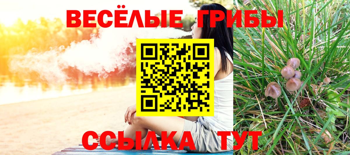 наркотики  Вход с VPN  Камышин  Псилоцибиновые грибы прущие грибы 