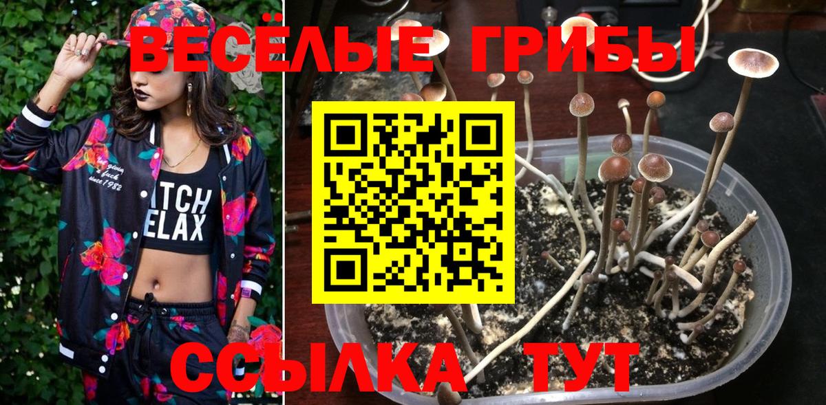 Галлюциногенные грибы ЛСД Камышин